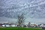 20170514 mamatus