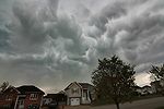 Asperatus 20180530