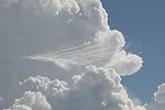 Cumulonimbus et cirrocumulus statiformis undulatus 20150804b