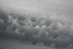 Mamatus 20180530b