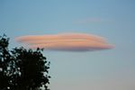 Stratocumulus lenticularis opactus 20140603b